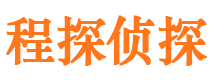 瑶海市私家侦探